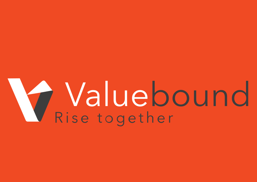 Valuebound Logo